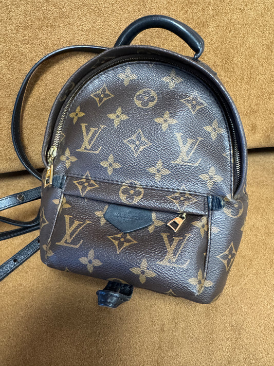 Louis Vuitton Palm Springs Backpack Mini