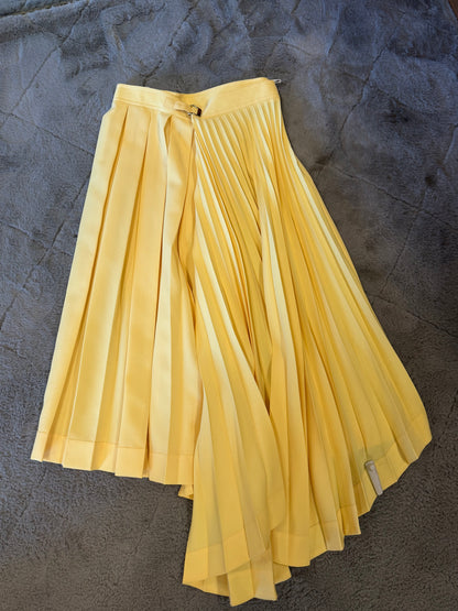 Celine Pleated Asymmetric Midi Skirt