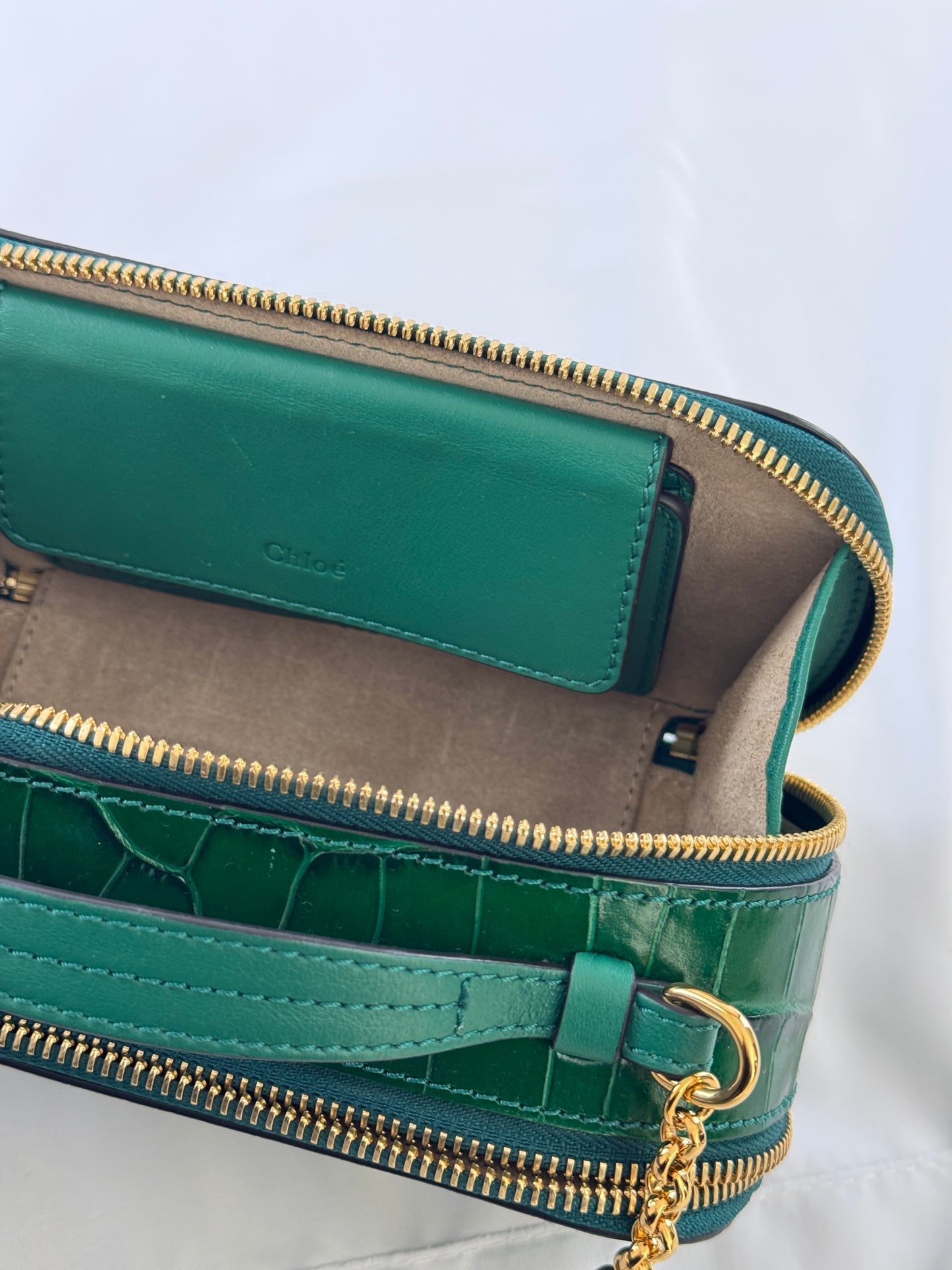 Croc-Embossed Mini C Vanity Bag