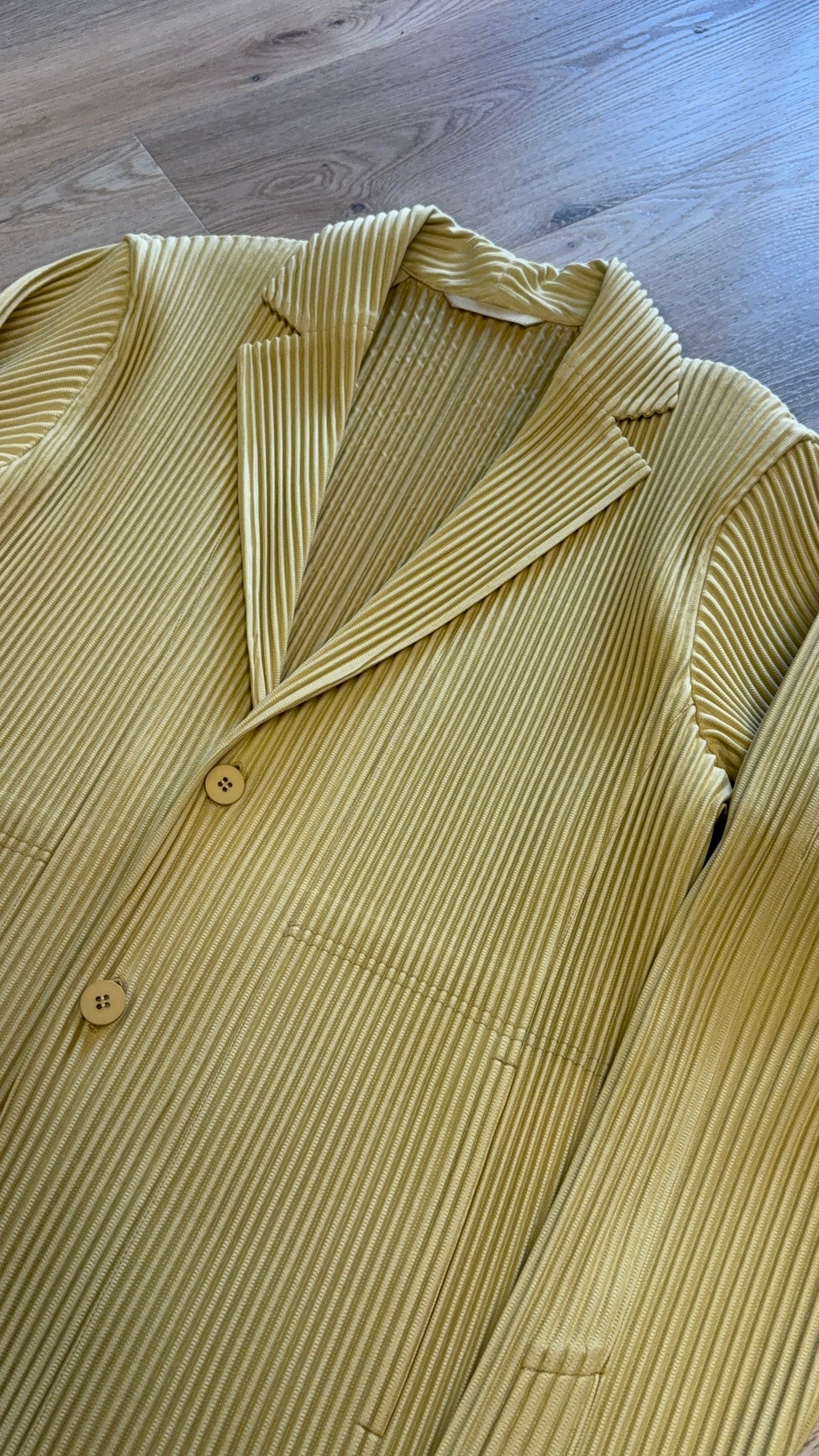 Issey Miyake Pleated Blazer