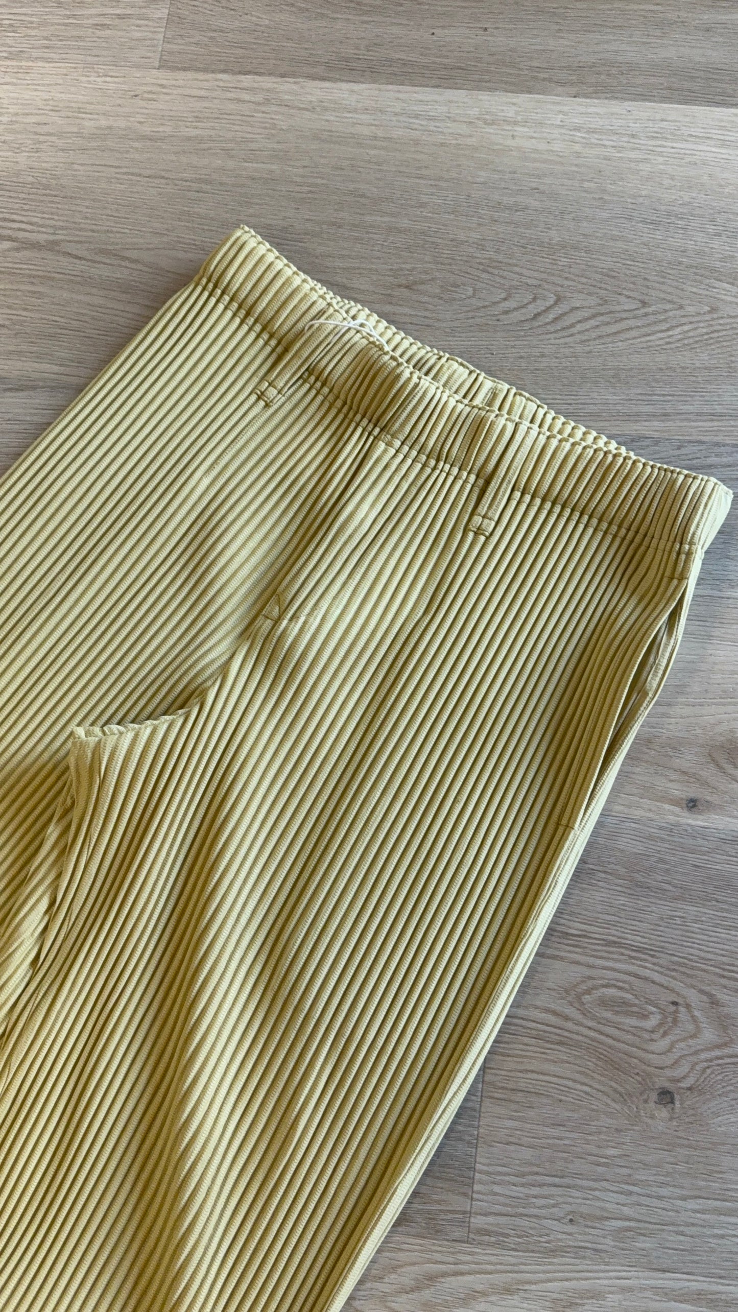 Issey Miyake Pleats Please Pants