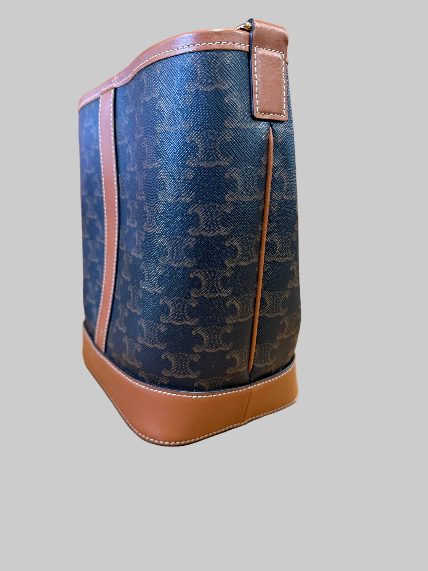 Celine Small Bucket in Triomphe Canvas and Calfskin