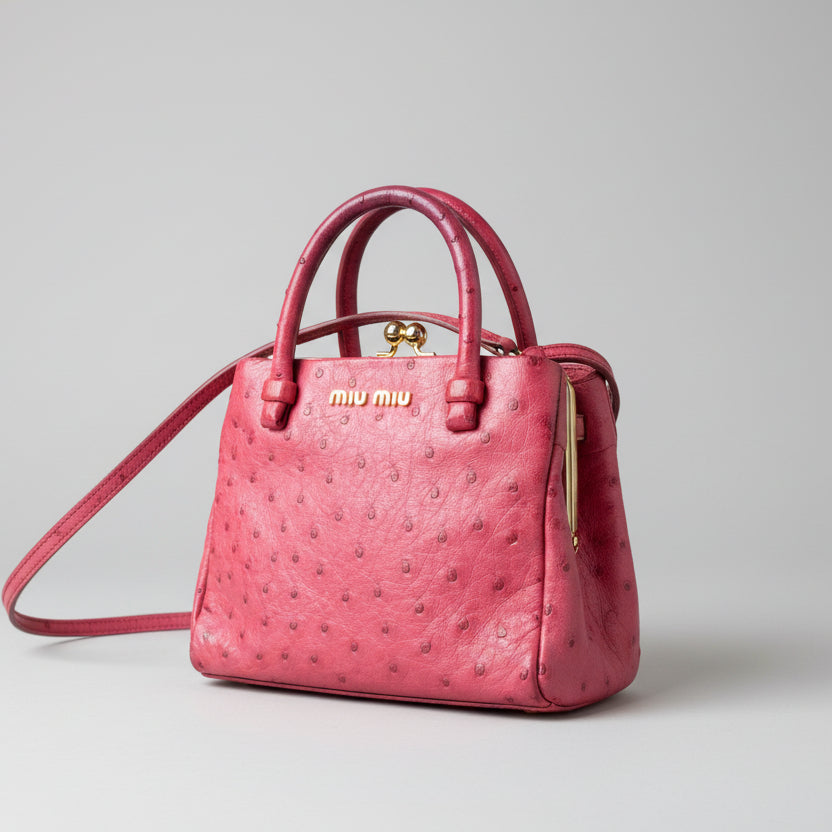 Miu Miu Kiss-Lock Frame Bag