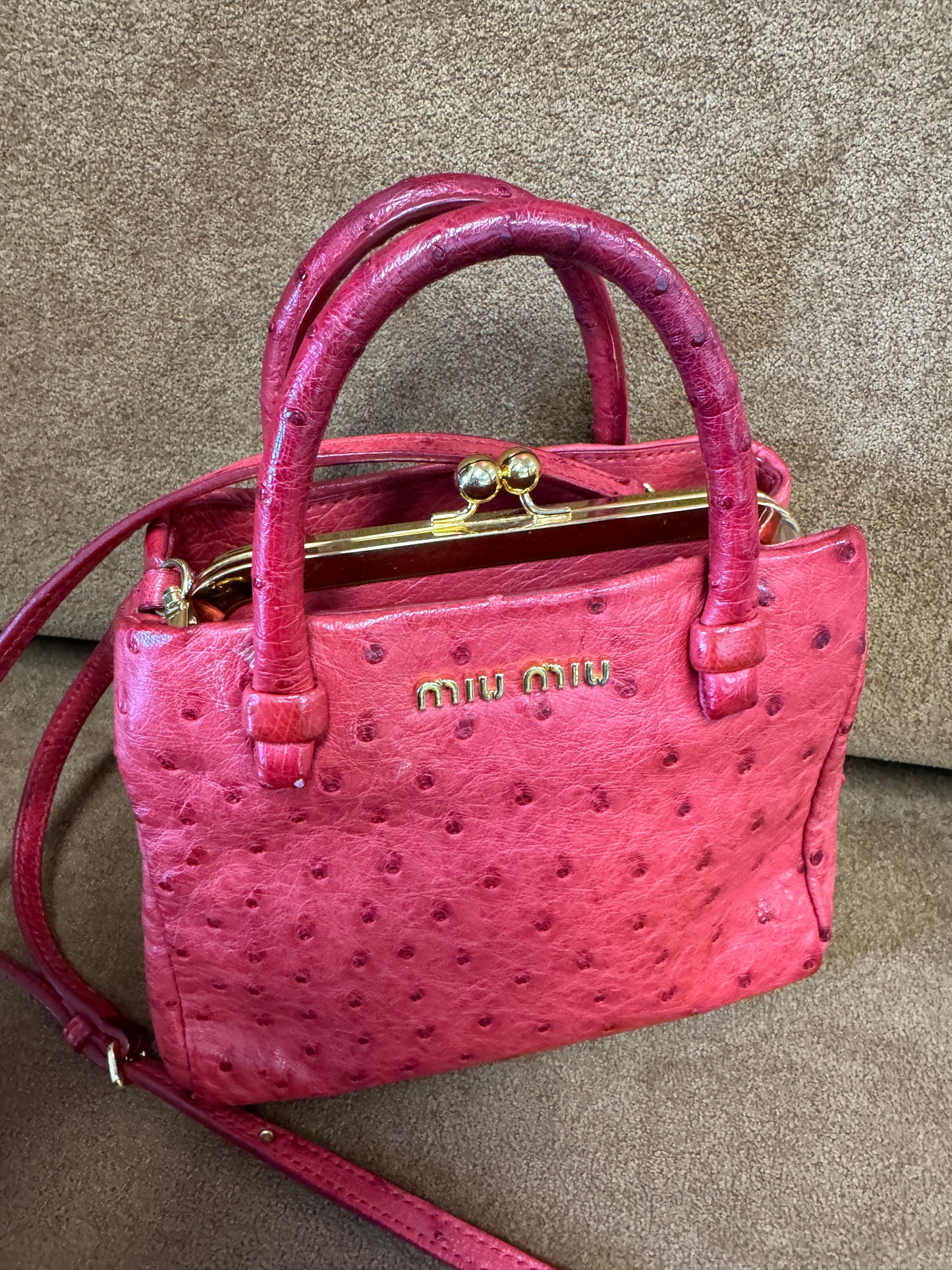 Miu Miu Kiss-Lock Frame Bag