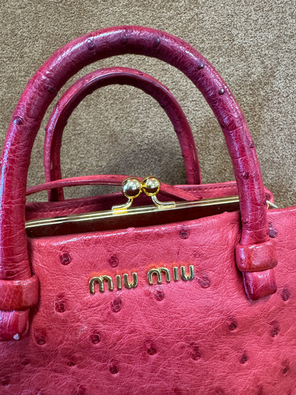 Miu Miu Kiss-Lock Frame Bag