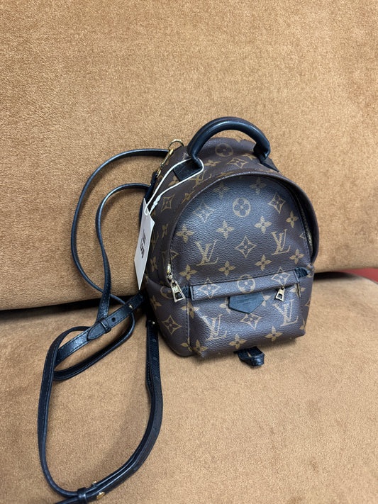 Louis Vuitton Palm Springs Backpack Mini