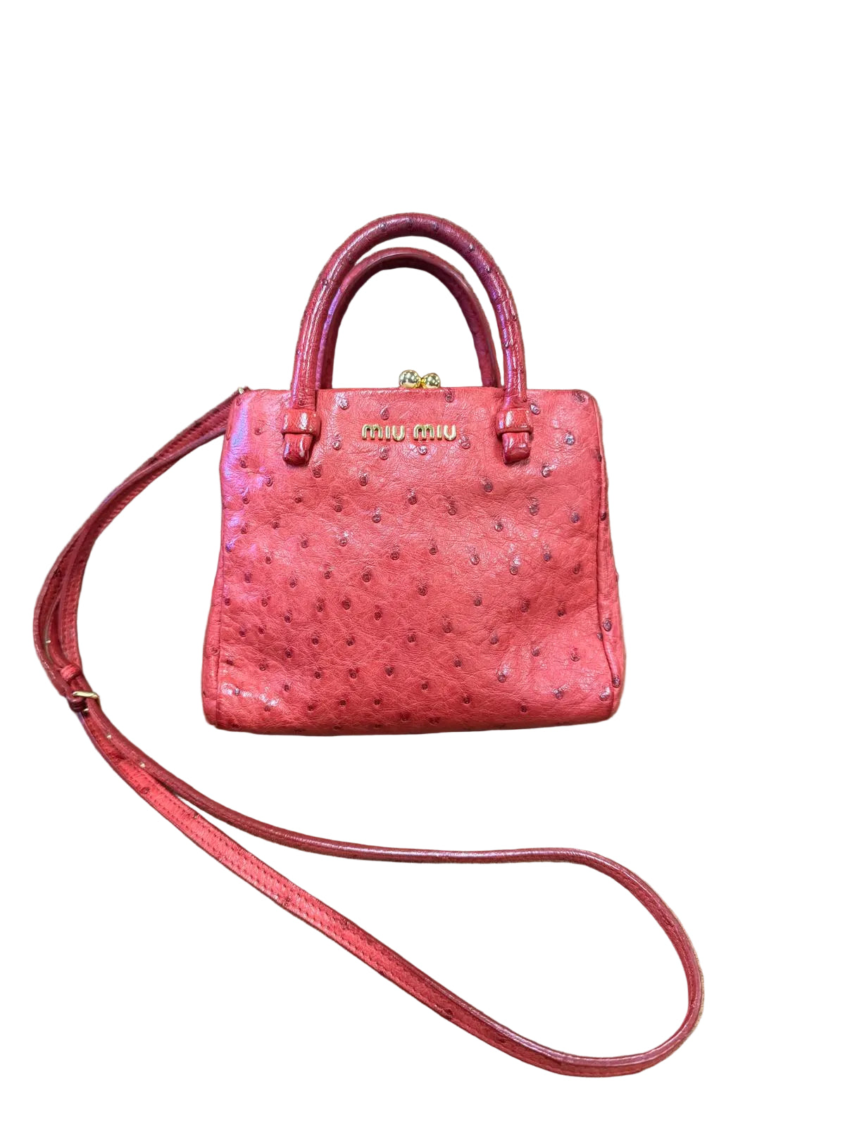 Miu Miu Kiss-Lock Frame Bag