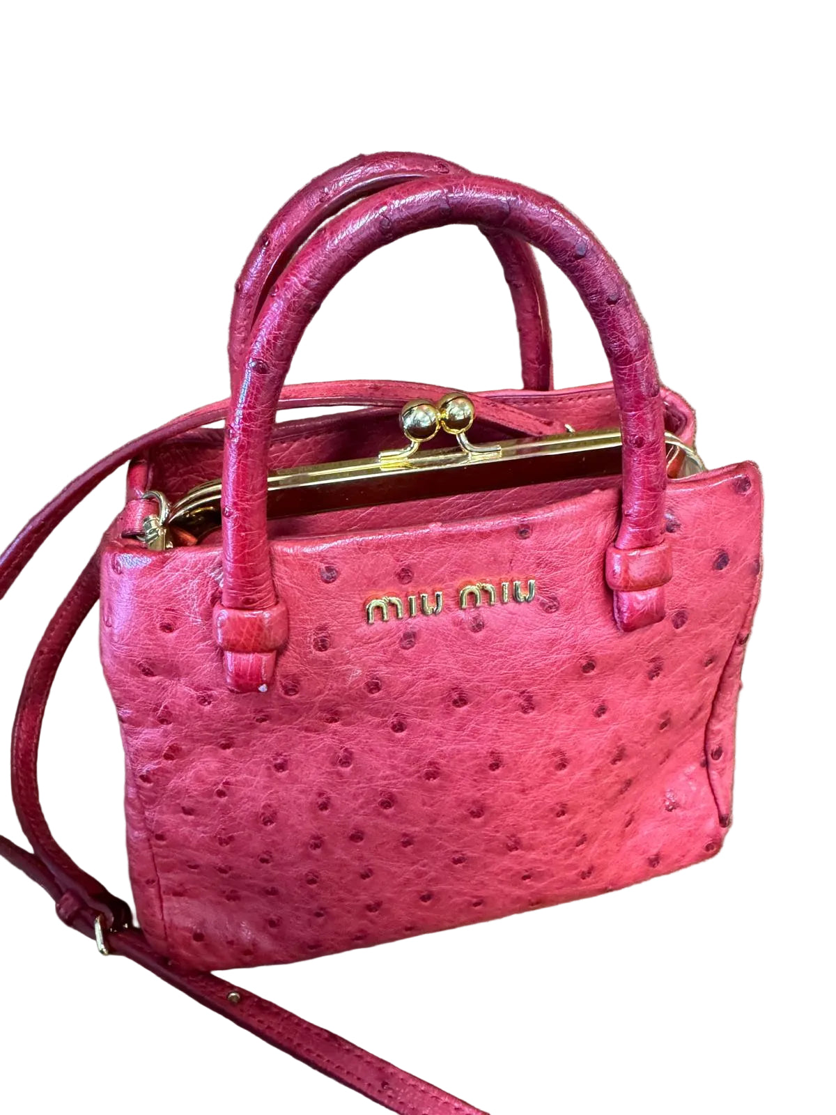 Miu Miu Kiss-Lock Frame Bag