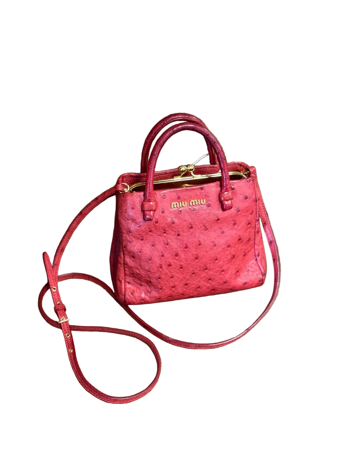 Miu Miu Kiss-Lock Frame Bag